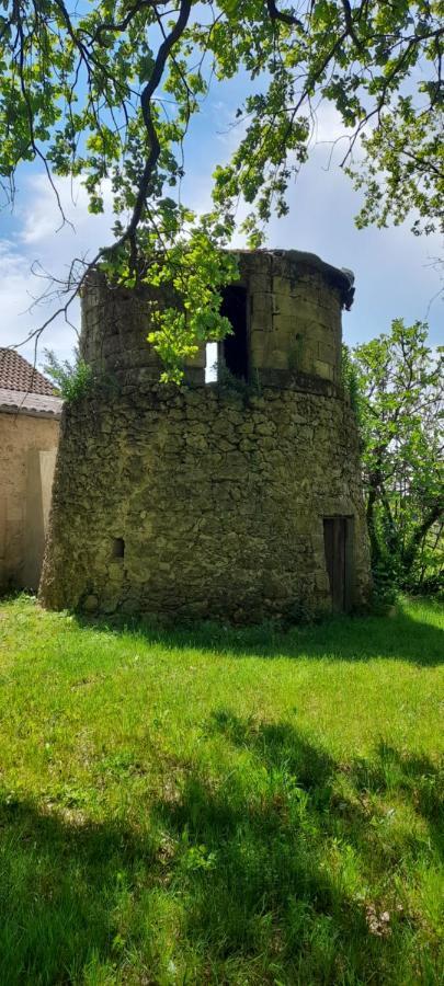 Moulin de Bigorre Villa Saint-Genès-de-Castillon Exterior foto